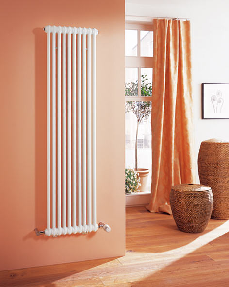 Радиаторы отопления ZEHNDER Радиаторы отопления ZEHNDER