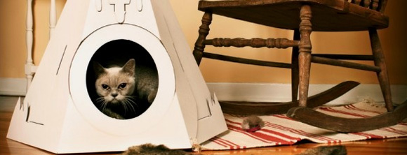 Стильні ідеї будиночків та лежанок для котів