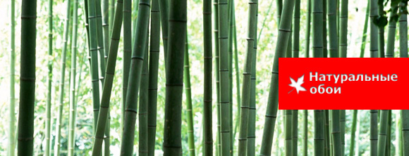 Как подчеркнуть интерьер бамбуковыми обоями?